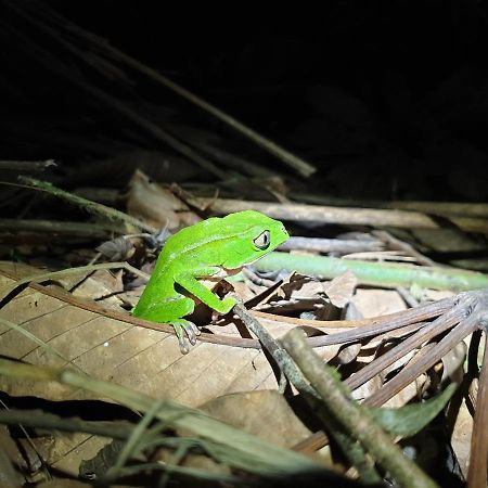Reserva Natural Tucuchira Villa Santa Sofía Dış mekan fotoğraf